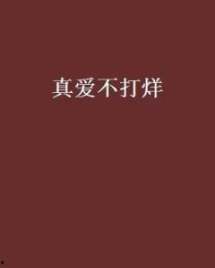 不打烊,不打烊的都市魅力之旅