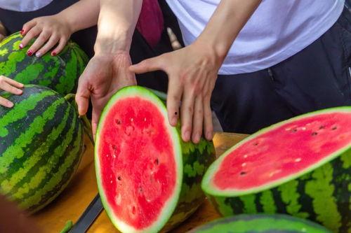 今日吃瓜全集完整版,揭秘娱乐圈幕后真相，带你领略明星们的真实生活