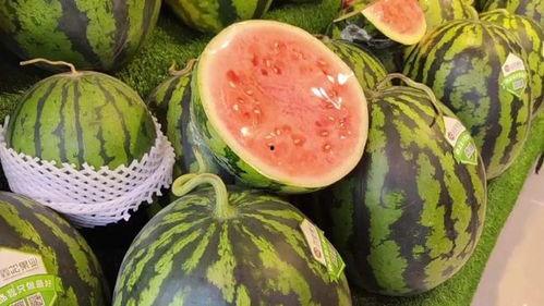 每日吃瓜,轻松掌握娱乐圈新鲜事