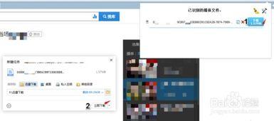 黑料网永久免费网站直接进入网页